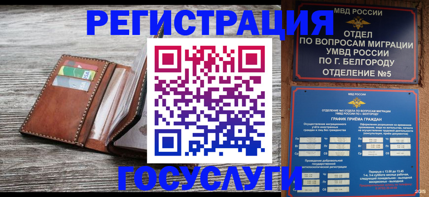 прописка 2025 в Апшеронске